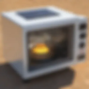 Revolutionary Solar-Powered Microwave Design Innovative Solar-Powered Microwave Concept