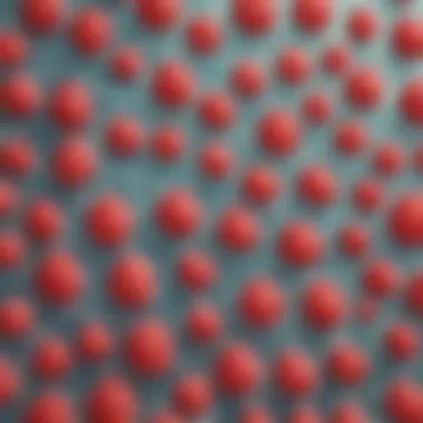 Close-up of Extracted DNA Strawberry DNA under Microscope