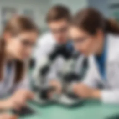 A classroom scene with students actively engaging in a microscopy experiment.