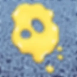 Close-up view of a carpet with slime residue