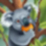 Koala munching on eucalyptus leaves