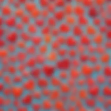 Cultural Impact of Gummy Hearts A visual representation of the cultural significance of gummy hearts across different societies.