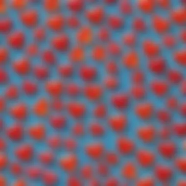 Nutritional Insights into Gummy Hearts A scientific breakdown of the nutritional components found in gummy hearts.