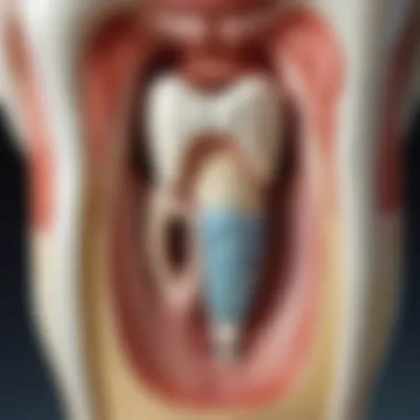 Notable The Fascinating World of NaOH 3 Molar