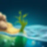 The Role of Seaweed Fibers in Science and Environment Introduction