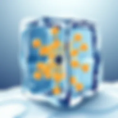 Detailed illustration of the molecular structure of ice