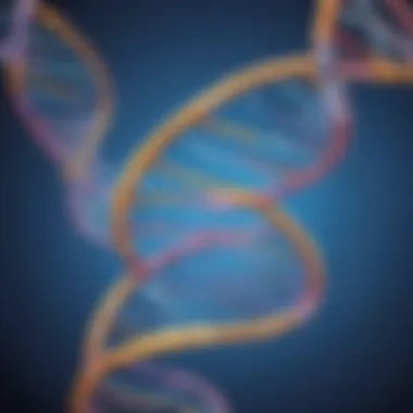 Schematic showing the double helix structure of DNA