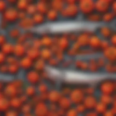Harmony of Elements Harmony of Elements: A visually captivating composition symbolizing the interconnectedness of tomatoes, sharks, and tools