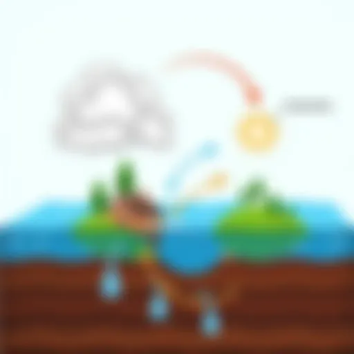 Evaporation of water from the surface