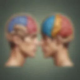 Illustration depicting the left and right brain hemispheres with their respective functions