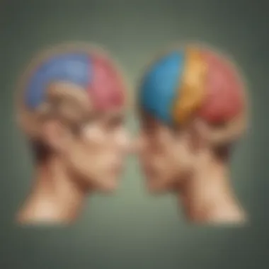 Illustration depicting the left and right brain hemispheres with their respective functions