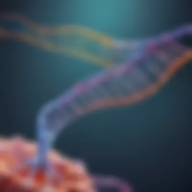 Understanding CRISPR-Cas9: A Comprehensive Guide Summary