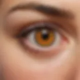Illustration depicting the location of the blind spot in the eye