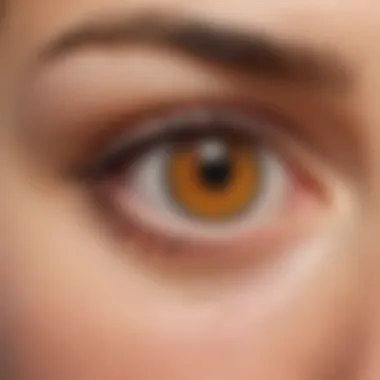 Illustration depicting the location of the blind spot in the eye