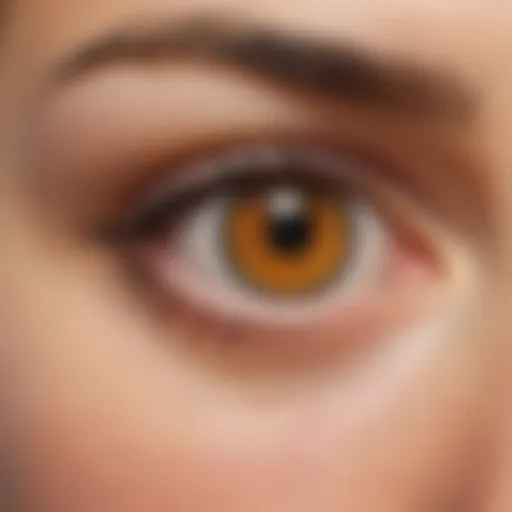 Illustration depicting the location of the blind spot in the eye