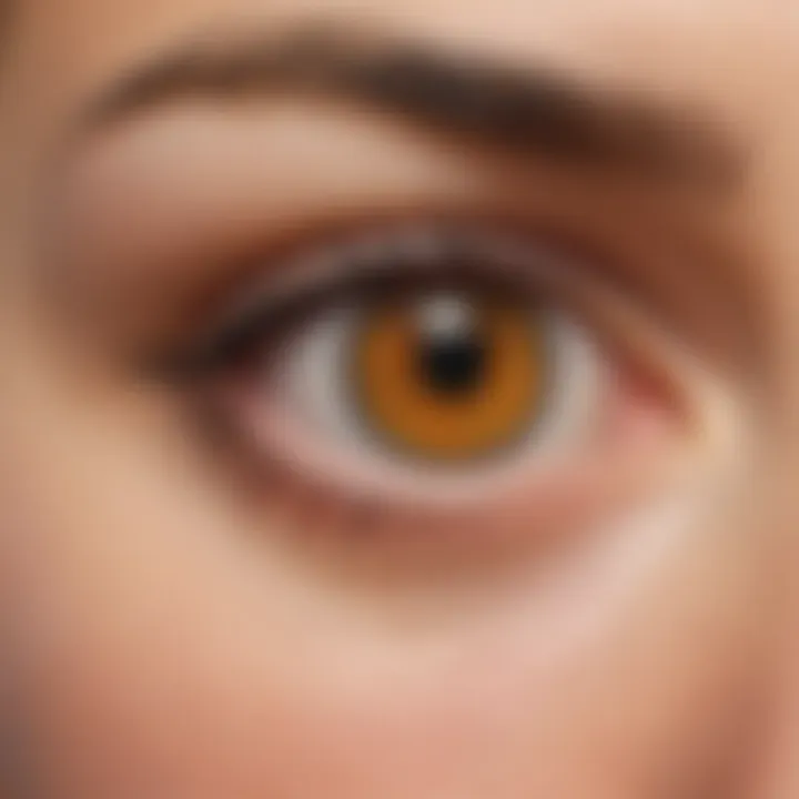 Illustration depicting the location of the blind spot in the eye