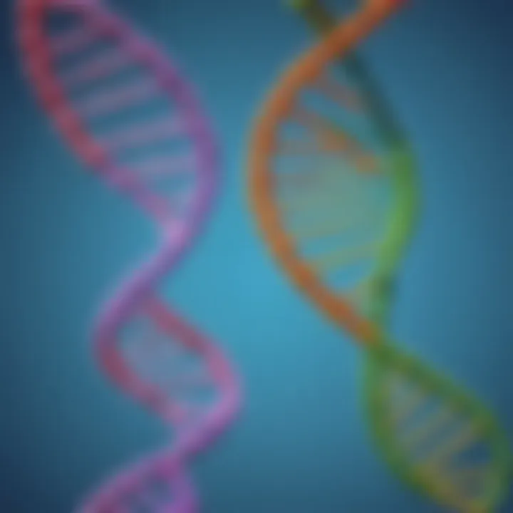 DNA double helix structure