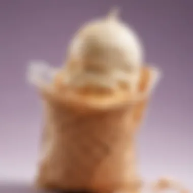 Demonstration of ice cream in a bag technique