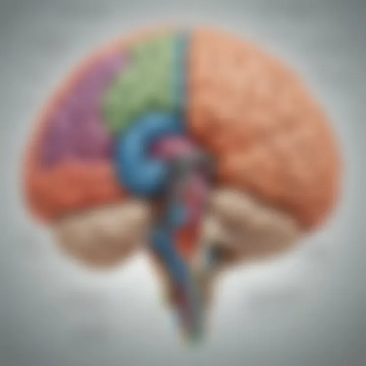 Diagram showing cognitive functions associated with the left hemisphere