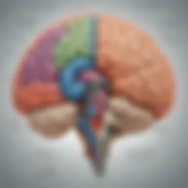 Cognitive Functions of the Left Hemisphere Diagram showing cognitive functions associated with the left hemisphere