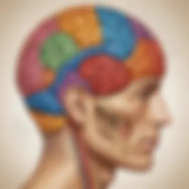 Skills Associated with the Right Hemisphere Visual representation of skills linked to the right brain hemisphere