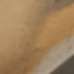 Composition of sand and cement mixture highlighting the essential components