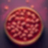 Detailed view of bacterial colonies on a petri dish