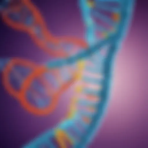 Visual representation of DNA structure