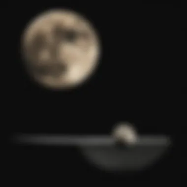 First Quarter: A Balance of Light and Dark Half Moon illuminated against a dark backdrop