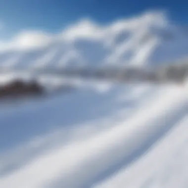 Artificial snow covering a ski resort