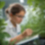 Young scientist examining plant growth in sustainable science project